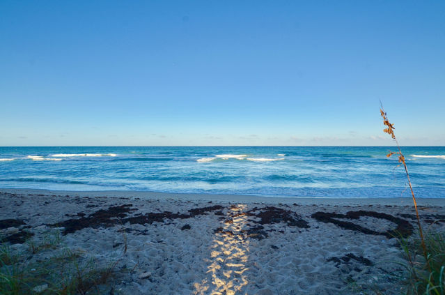 fullsizeoutput_1b35d