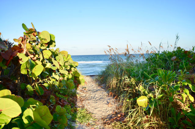 fullsizeoutput_1b35f