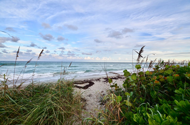 fullsizeoutput_1bfdd